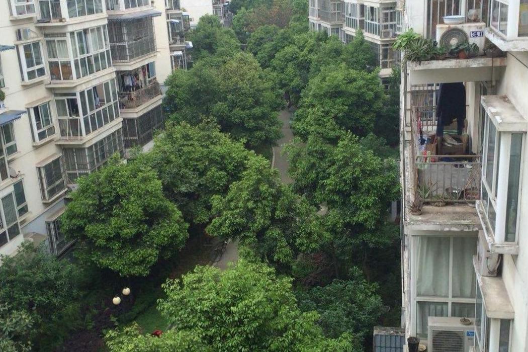 怡和新居二期 怡和新居二期