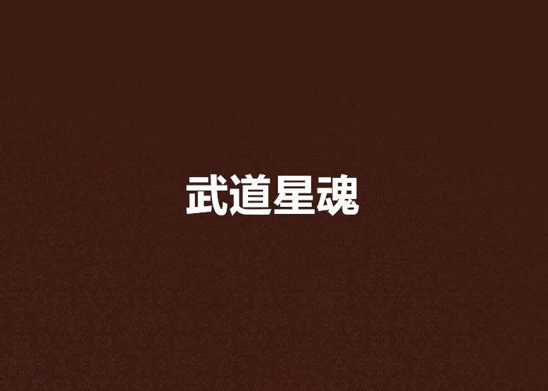武道星魂 武道星魂