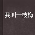 我叫一枝梅 我叫一枝梅