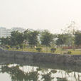 蕉利村 蕉利村