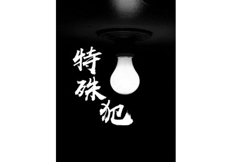 特殊犯 特殊犯