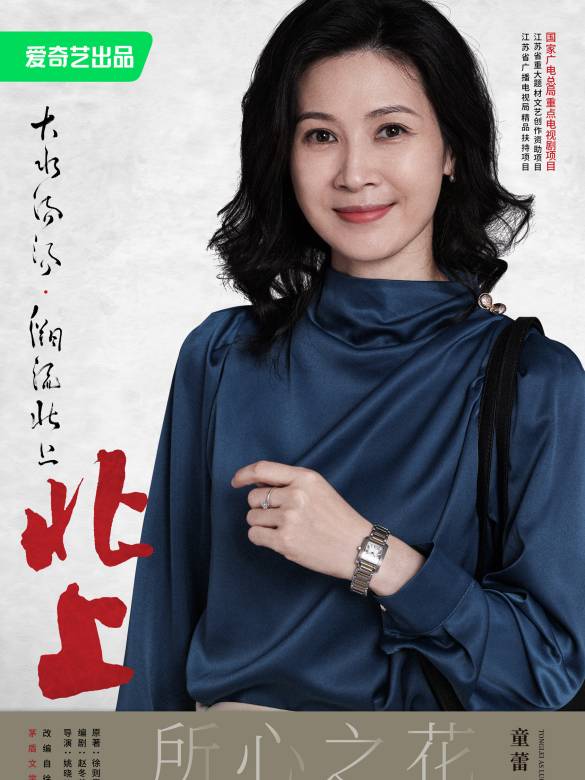 北上(2025年姚曉峰執導的現代劇)