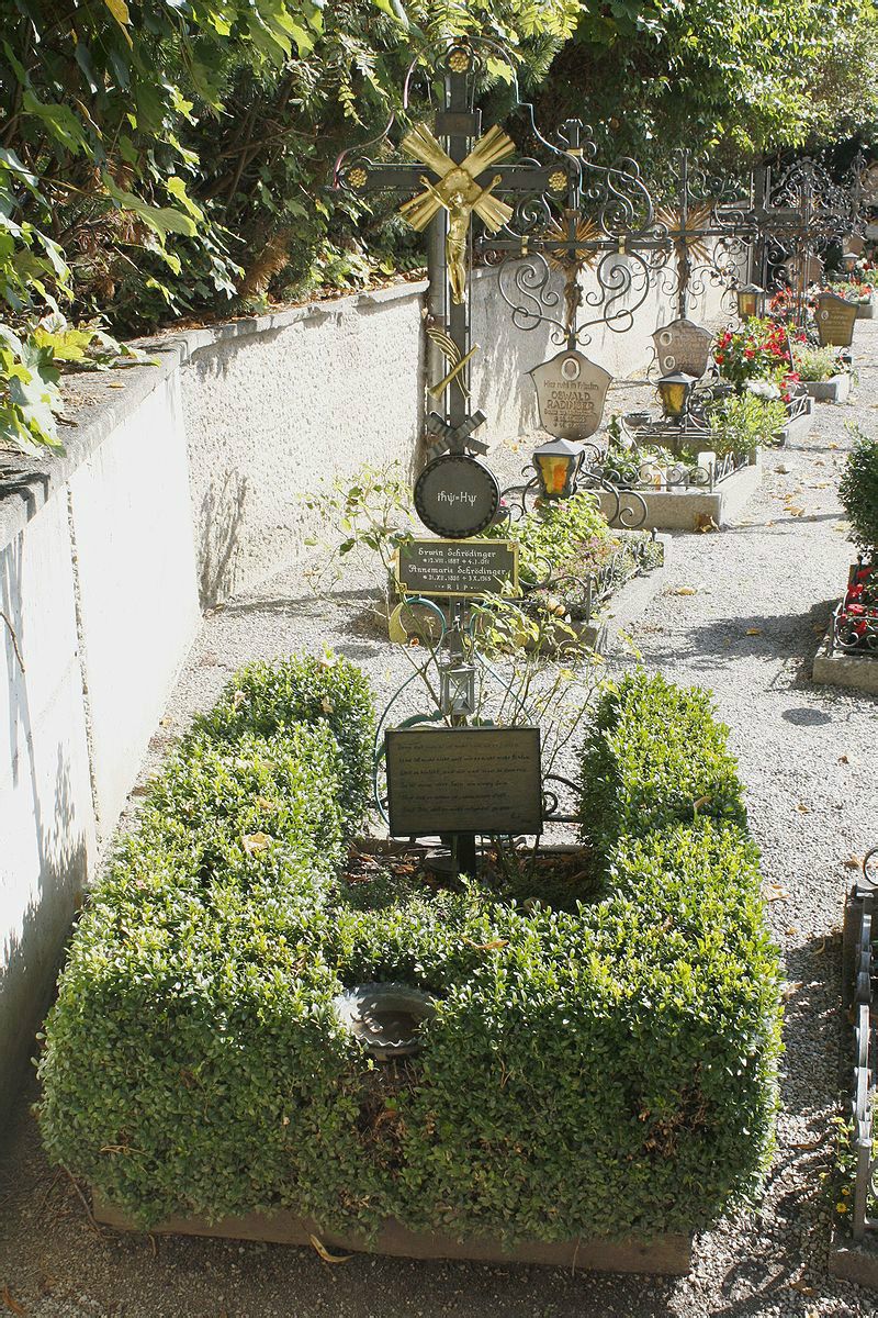 薛丁格之墓