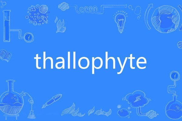 thallophyte thallophyte