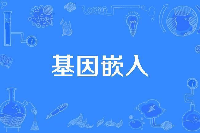 基因嵌入