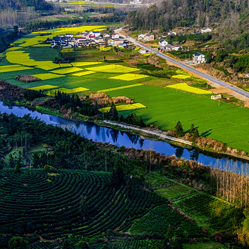 占坡村 占坡村
