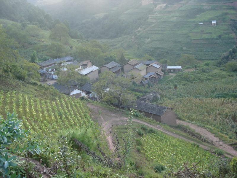 麥路坪村 麥路坪村