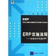 ERP實施流程：企業如何實施ERP