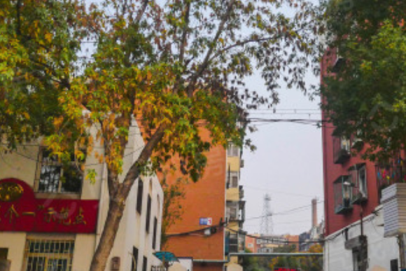 雲龍南里 雲龍南里