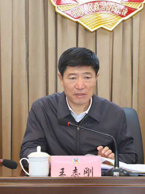 王志剛(遼寧省盤錦市大窪區政協主席) 王志剛(遼寧省盤錦市大窪區政協主席)