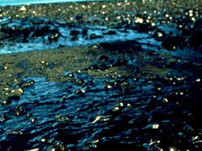 海洋污染