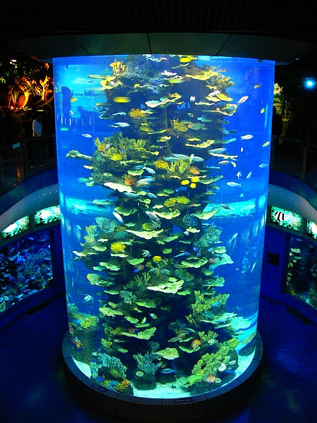 青島水族館亞克力柱形水箱