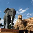 南非國家動物園