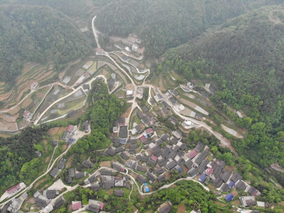 雞坡嶺村 雞坡嶺村