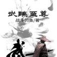 武臻至尊 武臻至尊