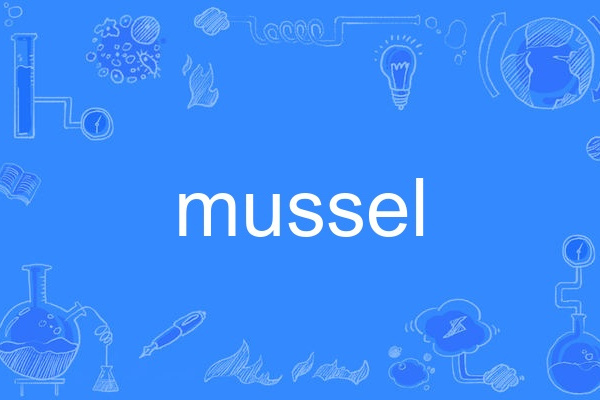 mussel mussel