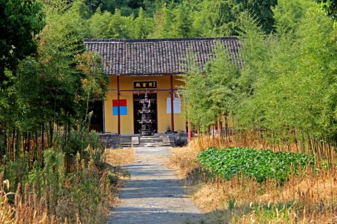 楊墳窩村 楊墳窩村