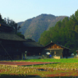 斯栗村 斯栗村