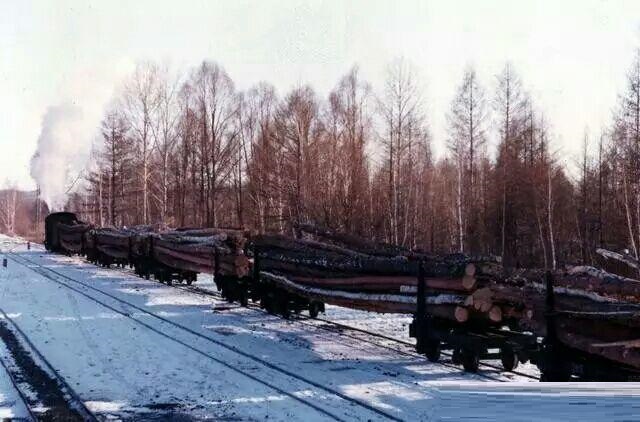 森鐵運輸