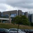 米尼奧大學 米尼奧大學