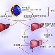 夏理彬 夏理彬