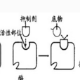 競爭性抑制劑