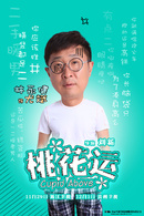 桃花運(2014年劉新執導電視劇)