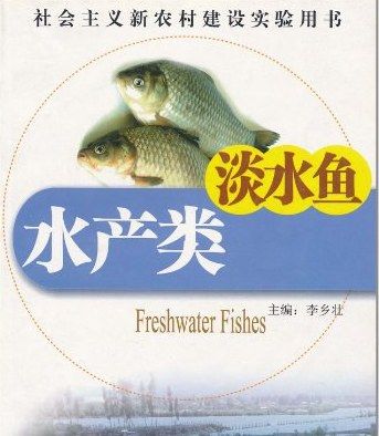 淡水蝦 淡水蝦