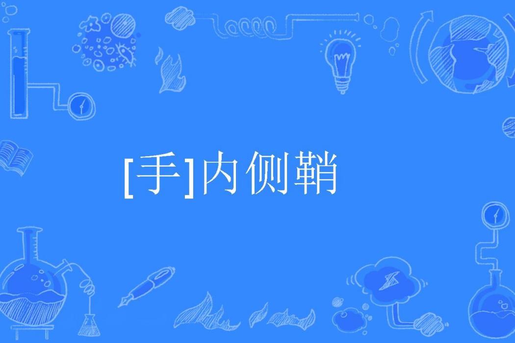 [手]內側鞘
