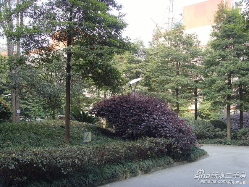 欣盛家園 欣盛家園