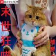 末世狂喵 末世狂喵