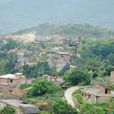 太山村(安徽省蚌埠市固鎮縣任橋鎮太山村) 太山村(安徽省蚌埠市固鎮縣任橋鎮太山村)