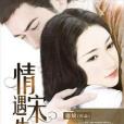 情遇宋先生 情遇宋先生