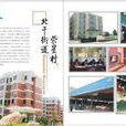 社區經濟 社區經濟