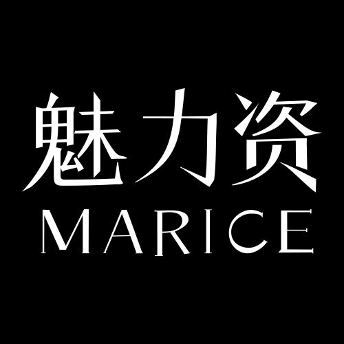 魅力資 魅力資