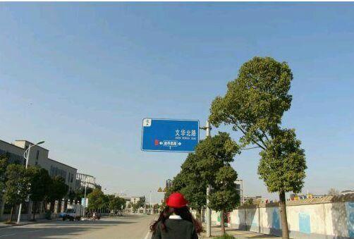逾橋西路