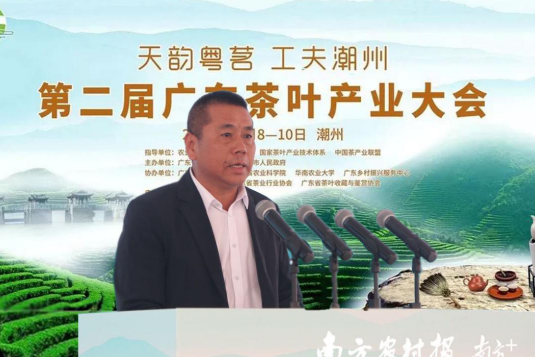 陳玉春(非物質文化遺產單叢茶製作技藝傳承人) 陳玉春(非物質文化遺產單叢茶製作技藝傳承人)