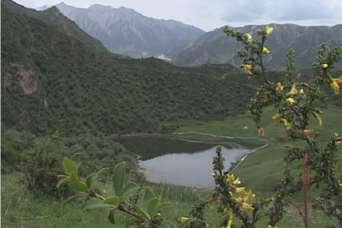 貴德古八景 貴德古八景