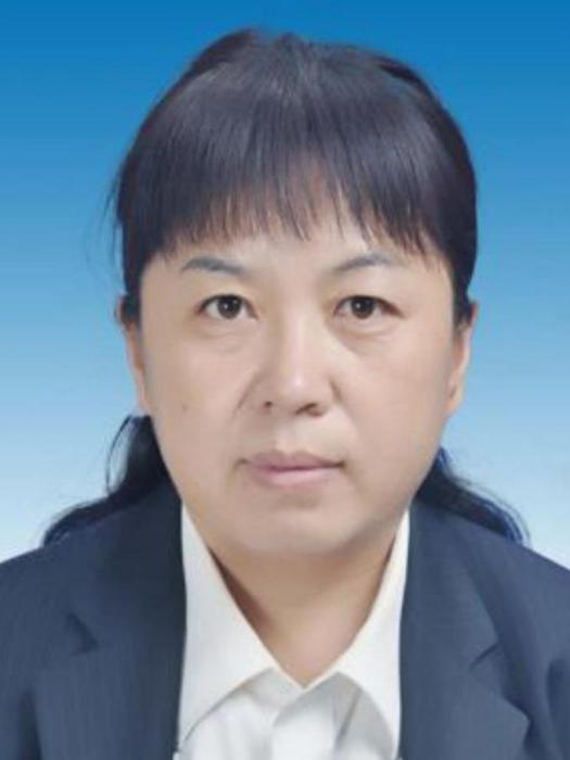 李玉梅(山東省德州市陵城區司法局黨組成員) 李玉梅(山東省德州市陵城區司法局黨組成員)