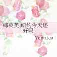 綜英美 綜英美