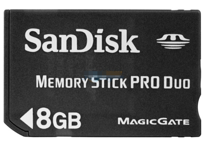 SANDISKPro Duo SANDISKPro Duo