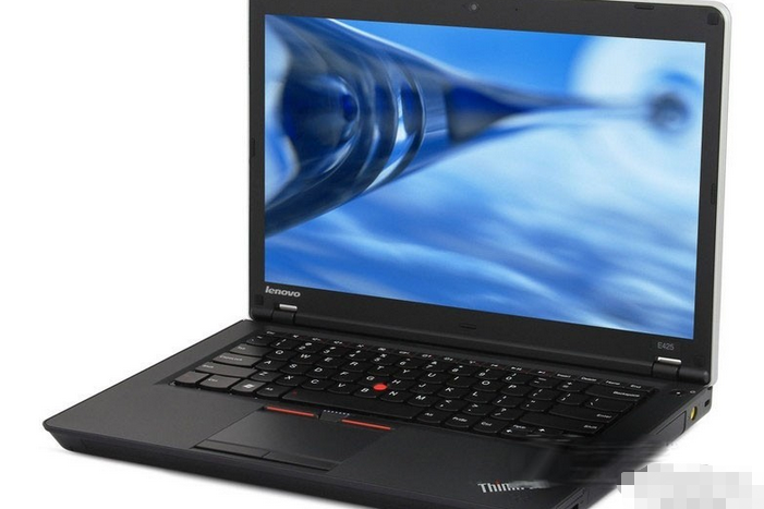 ThinkPad E425 1198A29 ThinkPad E425 1198A29