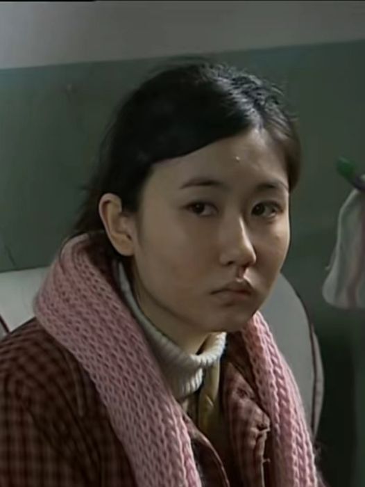 朱琴(家庭倫理劇《繼父》中的角色)