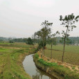 土門村(四川省德陽市中江縣通濟鎮下轄村) 土門村(四川省德陽市中江縣通濟鎮下轄村)