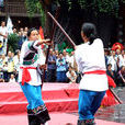 苗族武術 苗族武術