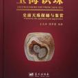 玉海識珠 玉海識珠