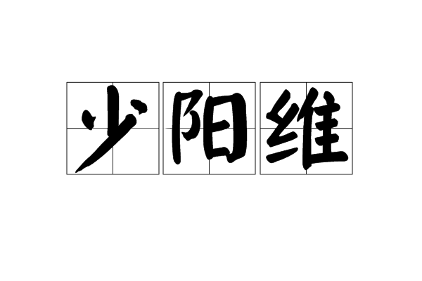 少陽維 少陽維