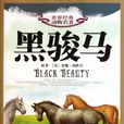 黑駿馬(兒童故事《黑駿馬》) 黑駿馬(兒童故事《黑駿馬》)