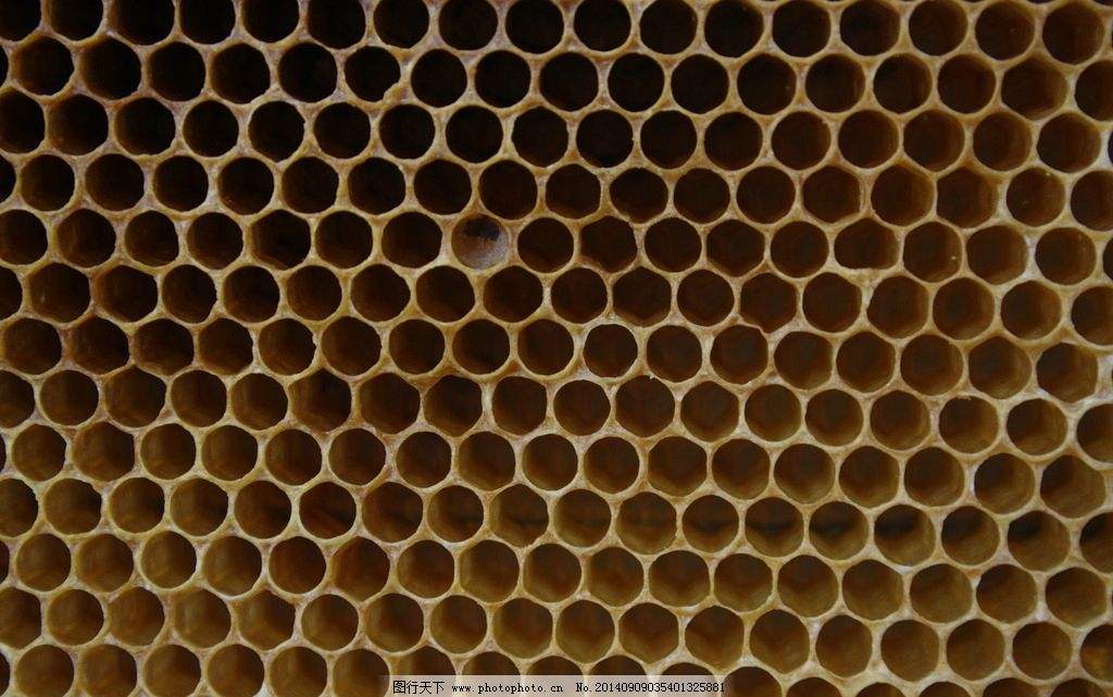 蜂房問題