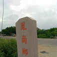 鳳崗村(廣東省潮州市潮安縣鳳塘鎮鳳崗村) 鳳崗村(廣東省潮州市潮安縣鳳塘鎮鳳崗村)